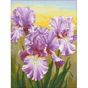 Алмазна мозаїка 30х40 "Іриси" АМС-125