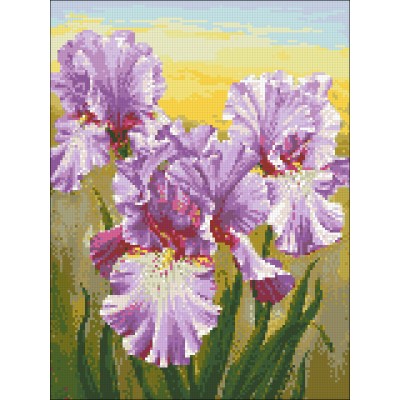 Алмазна мозаїка 30х40 "Іриси" АМС-125