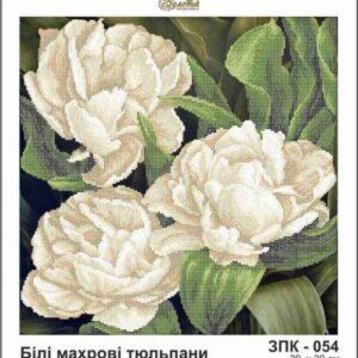 Схема картини Золота Підкова ЗПК-054 "Білі махрові тюльпани" для вишивання бісером на шовку
