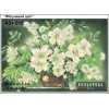 Картина для вишивки формату A3+ 018 "Яблуневий цвіт"