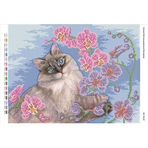 БС-3122 Кіт з капелюхом. Схема для вишивки бісером