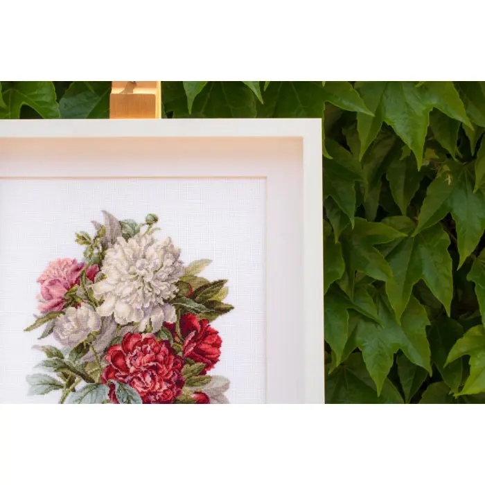 B2355 Півонії. Luca-S. Набір для вишивки хрестиком