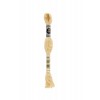 C738 DMC Etoile Very Light Tan. Нитка для вишивання