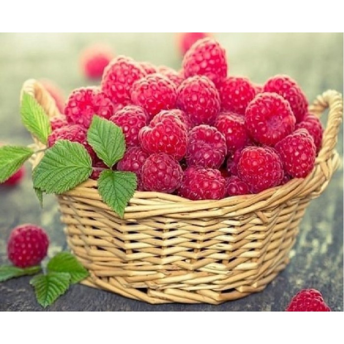 Алмазна мозаїка 30x40 "Малина у корзині" ST480