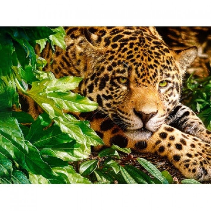 Алмазна вишивка ColorArt 30х40см "Ягуар" ST436