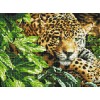 Алмазна вишивка ColorArt 30х40см "Ягуар" ST436
