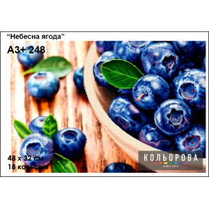 Картина для вишивки формату А3+ 248 "Небесна ягода"