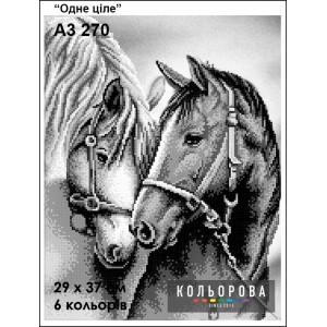 Картина для вишивки формату А3 270 "Одне ціле"
