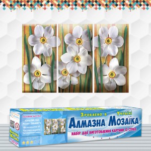 Алмазна вишивка (набір) "Весняний настрій" (DM-150)