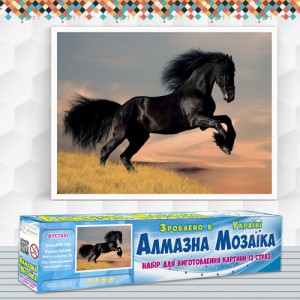 Алмазна вишивка (набір) "Мустанг" (DM-190)
