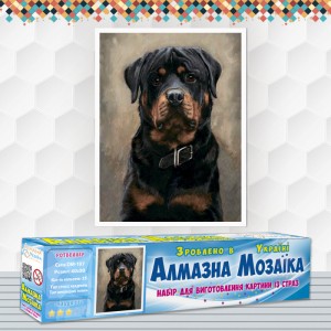 Алмазна вишивка (набір) "Ротвейлер" (DM-197)