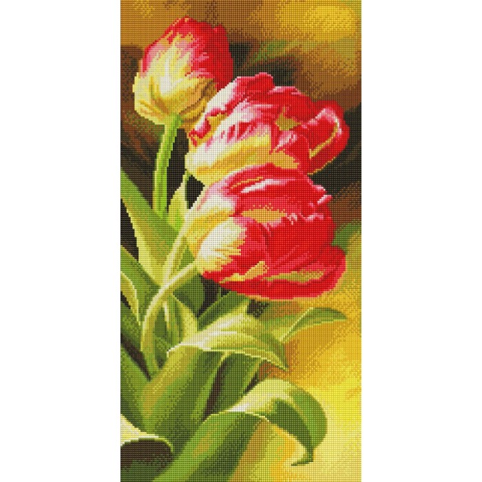 Алмазна мозаїка 30x60 "Букет тюльпанів" TS1302