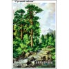 Картина для вишивки формату А3+ 191 "Гірський пейзаж"