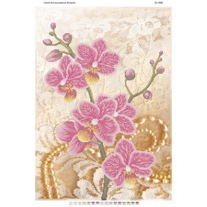 БС-2008 Орхідея 3. Схема для вишивки бісером
