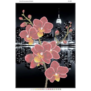 БС-2009 Орхідея 4. Схема для вишивки бісером