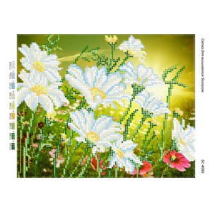 БС-4066 Ромашки. Схема для вишивки бісером
