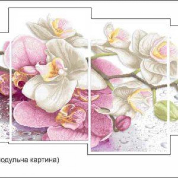 Схема картини Золота Підкова ЗПК-050 "Орхідея" для вишивання бісером на шовку