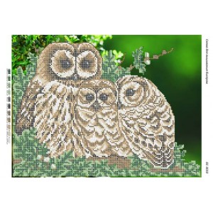 БС-3010 Сови. Схема для вишивки бісером