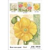Схема для вишивки бісером "Маки кольорові" (триптих) (ЗПК-45В)