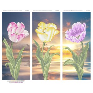 БМК 007. Схема для вишивки бісером