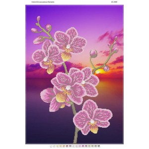 БС-2006 Орхідея 1. Схема для вишивки бісером