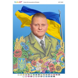 БС-3426 В. Ф. Залужний (частк. вишивка). Схема для вишивки бісером