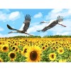 Алмазна вишивка (набір) "СОНЯШНИКОВЕ ПОЛЕ" (DM-426)