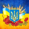 Алмазна вишивка (набір) "НАЦІОНАЛЬНА СИМВОЛІКА" (DM-431)