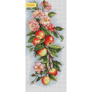 B211 Композиція з яблуками. Набір для вишивки хрестиком Luca-S