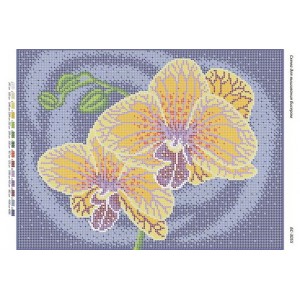 БС-3055 Орхідеї. Схема для вишивки бісером