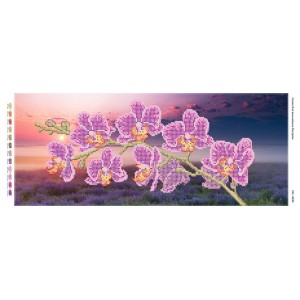 ПМ-4034 "Орхідея 2". Схема для вишивки бісером