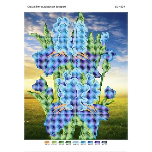 БС-4134 Іріс (голубий). Схема для вишивки бісером