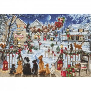 B2423 Друзі на терасі ©Richard Macneil. Luca-S. Набір для вишивки хрестиком