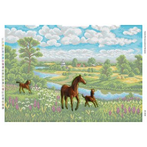 БС-2018 Коники. Схема для вишивки бісером