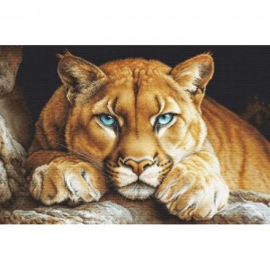 BU5081 Набір для вишивки хрестиком "Дикий дух" Luca-S, 48х32 см, Aida 16