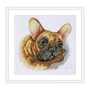 К-114 Французький бульдог. Мережка. Набір для вишивки хрестиком на Aida 16