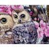К-228 Дві сови у весняному цвітінні. Мережка. Набір для вишивки хрестиком на Aida 16