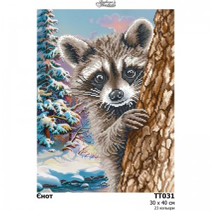Схема картини "Єнот" для вишивки бісером на тканині (ТТ-031)
