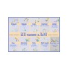 Заготовка під вишивку "Сукня жіноча СЖ-098-1"