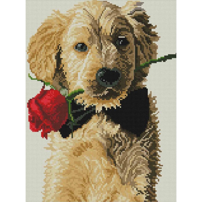 Алмазна мозаїка "Собака джентльмен" 30x40 ST452