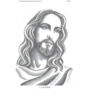 БСР-2025 Лик Ісуса Христа (срібна, часткова вишивка). Схема для вишивки бісером
