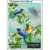 Картина для вишивки формату A4 148 "Пташина пісня. Весна"
