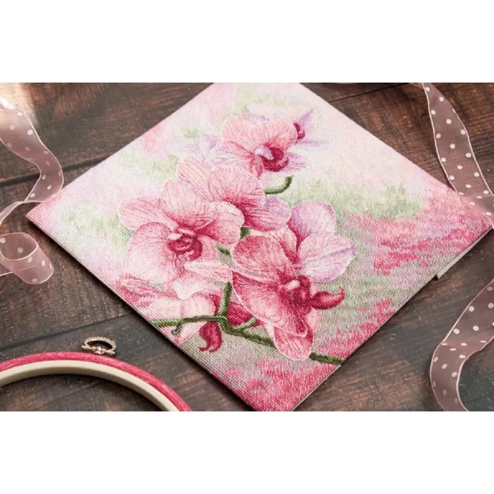 B7009 Витончені орхідеї. Luca-S. Набір для вишивки хрестиком