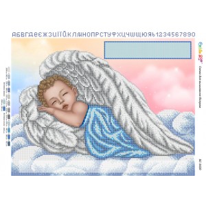 БС-3420 Метрика (хлопчик) (частк. вишивка). Схема для вишивки бісером