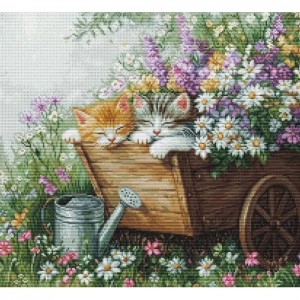 BU5093 Набір для вишивки рахунковим хрестиком "Сон кошенят" Luca-S,  Aida 16
