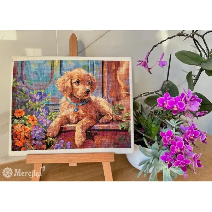 К-235 Сонце на порозі, Мережка. Набір для вишивки хрестиком на Aida 16