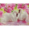 Алмазна мозаїка 30х40 "Пара лебедів у квітах" ST453
