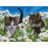 Алмазна мозаїка "Котики у ромашках" 30х40 ST473