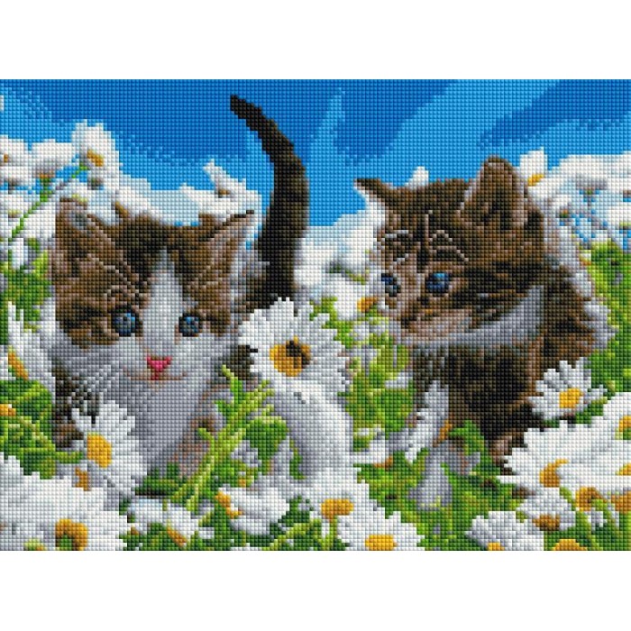 Алмазна мозаїка "Котики у ромашках" 30х40 ST473