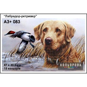 Картина для вишивки формату A3+ 083 "Лабрадор-ретривер"